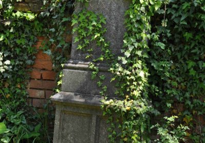 Městský hřbitov Čáslav, Omnium, 2017