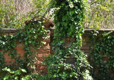 Městský hřbitov Čáslav, Omnium, 2017