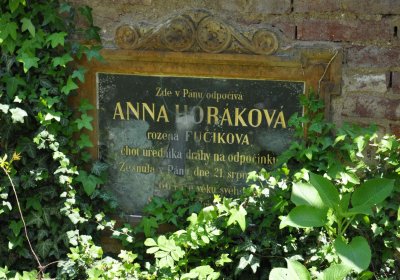 Městský hřbitov Čáslav, Omnium, 2017