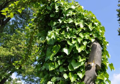 Městský hřbitov Čáslav, Omnium, 2017