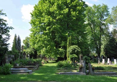 Městský hřbitov Čáslav, Omnium, 2017