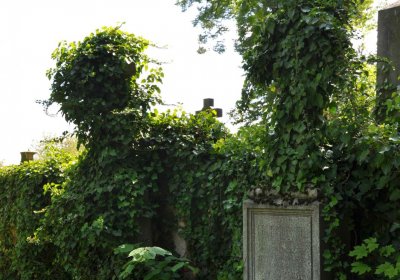 Městský hřbitov Čáslav, Omnium, 2017