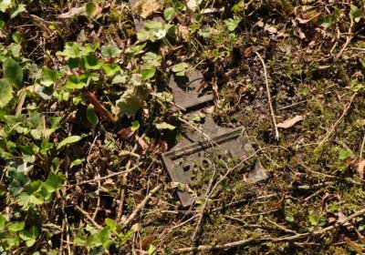 Městský hřbitov Čáslav, Omnium, 2017