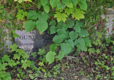 Městský hřbitov Čáslav, Omnium, 2017