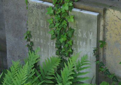 Městský hřbitov Čáslav, Omnium, 2017