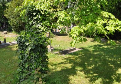 Městský hřbitov Čáslav, Omnium, 2017