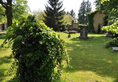 Městský hřbitov Čáslav, Omnium, 2017