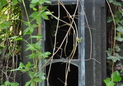 Městský hřbitov Čáslav, Omnium, 2017