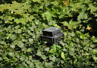 Městský hřbitov Čáslav, Omnium, 2017