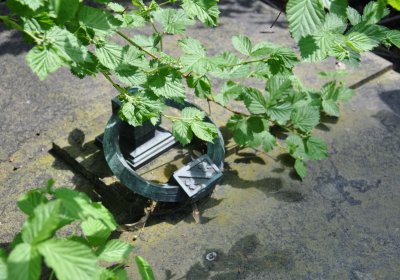 Městský hřbitov Čáslav, Omnium, 2017