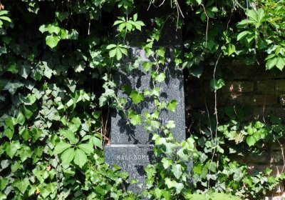 Městský hřbitov Čáslav, Omnium, 2017