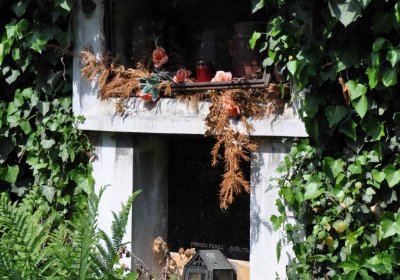 Městský hřbitov Čáslav, Omnium, 2017