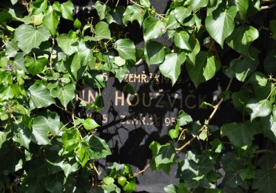 Městský hřbitov Čáslav, Omnium, 2017