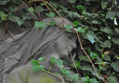 Městský hřbitov Čáslav, Omnium, 2017