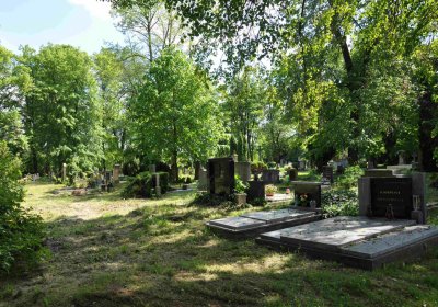 Městský hřbitov Čáslav, Omnium, 2017