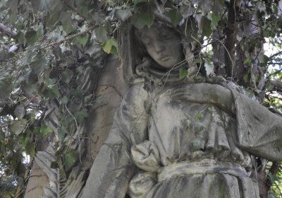 Městský hřbitov Čáslav, Omnium, 2017