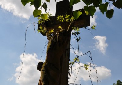 Městský hřbitov Čáslav, Omnium, 2017