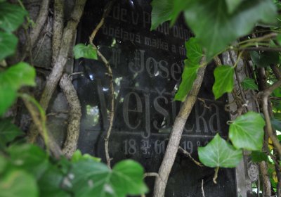 Městský hřbitov Čáslav, Omnium, 2017