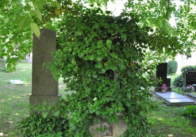 Městský hřbitov Čáslav, Omnium, 2017