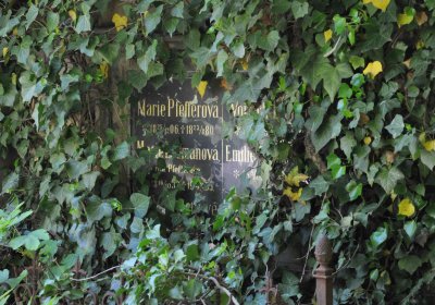 Městský hřbitov Čáslav, Omnium, 2017