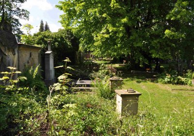 Městský hřbitov Čáslav, Omnium, 2017