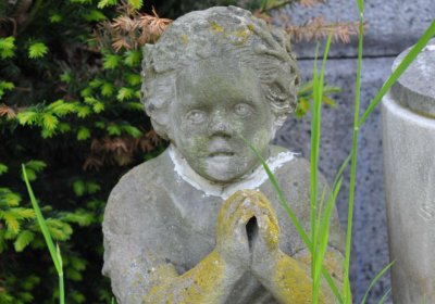 Městský hřbitov Čáslav, Omnium, 2017