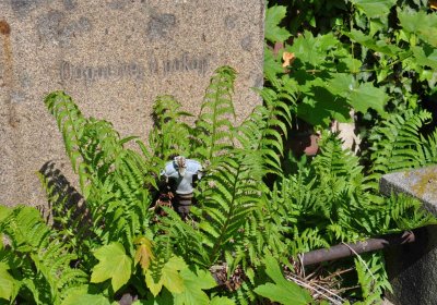 Městský hřbitov Čáslav, Omnium, 2017