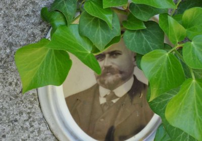 Městský hřbitov Čáslav, Omnium, 2017