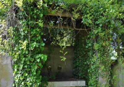 Městský hřbitov Čáslav, Omnium, 2017