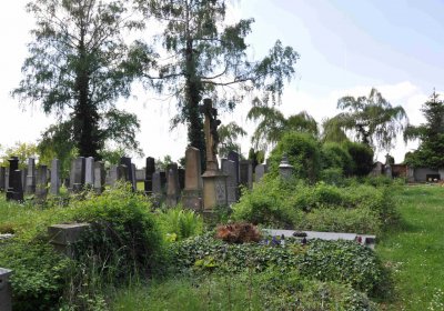 Městský hřbitov Čáslav, Omnium, 2017