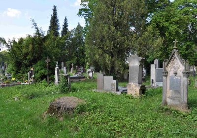 Městský hřbitov Čáslav, Omnium, 2017