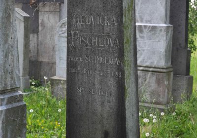 Městský hřbitov Čáslav, Omnium, 2017