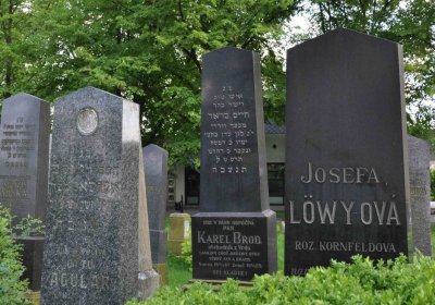 Městský hřbitov Čáslav, Omnium, 2017