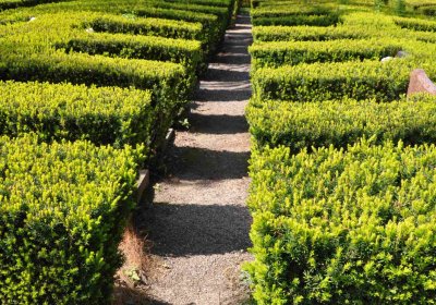 Městský hřbitov Čáslav, Omnium, 2017