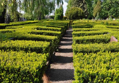 Městský hřbitov Čáslav, Omnium, 2017