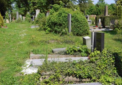 Městský hřbitov Čáslav, Omnium, 2017