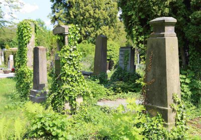 Městský hřbitov Čáslav, Omnium, 2017