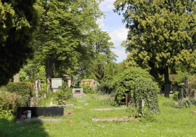 Městský hřbitov Čáslav, Omnium, 2017