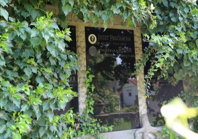 Městský hřbitov Čáslav, Omnium, 2017