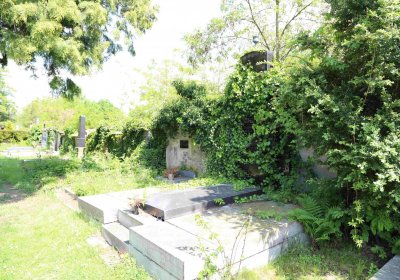 Městský hřbitov Čáslav, Omnium, 2017