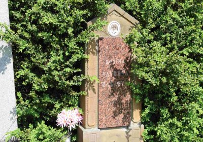 Městský hřbitov Čáslav, Omnium, 2017