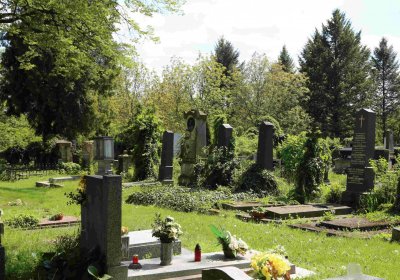 Městský hřbitov Čáslav, Omnium, 2017