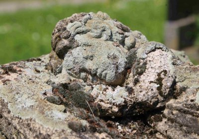 Městský hřbitov Čáslav, Omnium, 2017