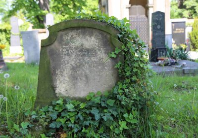 Městský hřbitov Čáslav, Omnium, 2017