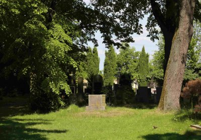 Městský hřbitov Čáslav, Omnium, 2017