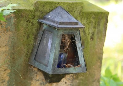 Městský hřbitov Čáslav, Omnium, 2017
