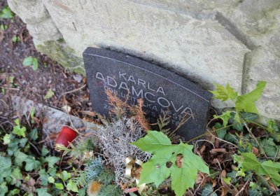 Městský hřbitov Čáslav, Omnium, 2017