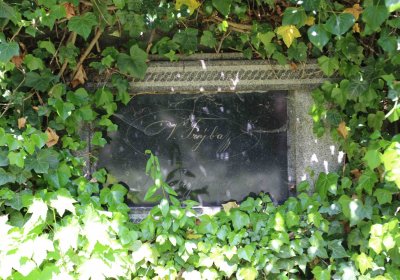 Městský hřbitov Čáslav, Omnium, 2017