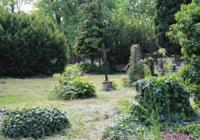 Městský hřbitov Čáslav, Omnium, 2017