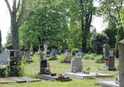 Městský hřbitov Čáslav, Omnium, 2017